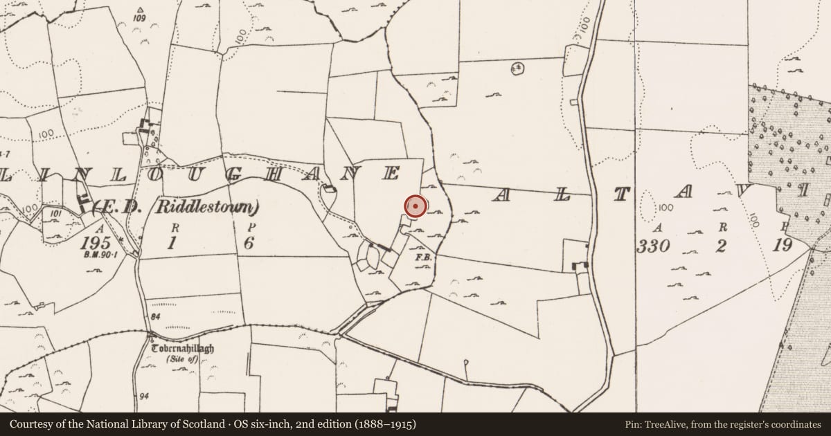 Ordnance Survey six-inch map, 2nd edition (1888–1915) covering the location of Ringfort - cashel, Ballinloughane, County Limerick, with a pin at the register's coordinates