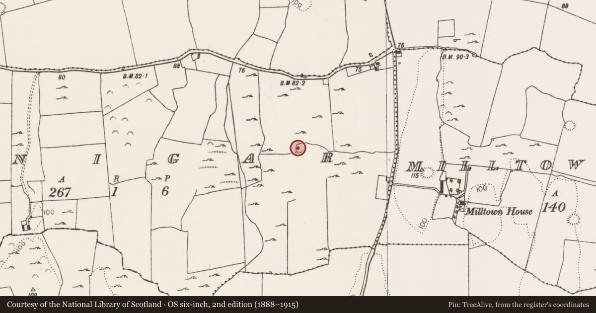 Ordnance Survey six-inch map, 2nd edition (1888–1915) covering the location of Enclosure, Conigar, County Limerick, with a pin at the register's coordinates