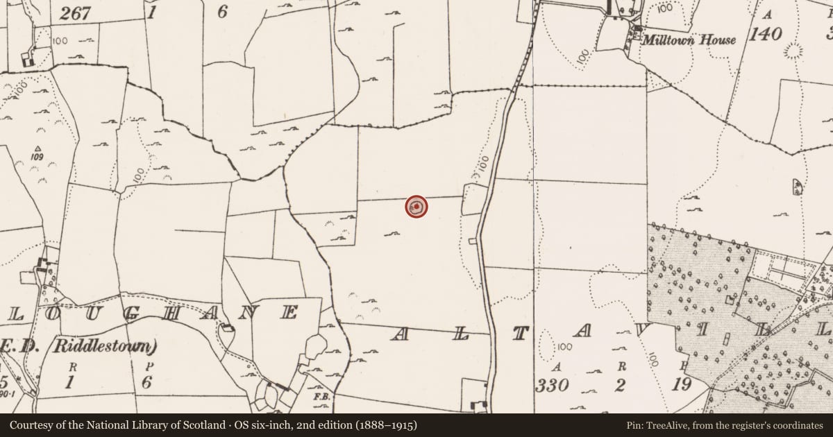 Ordnance Survey six-inch map, 2nd edition (1888–1915) covering the location of Ringfort - rath, Altavilla, County Limerick, with a pin at the register's coordinates