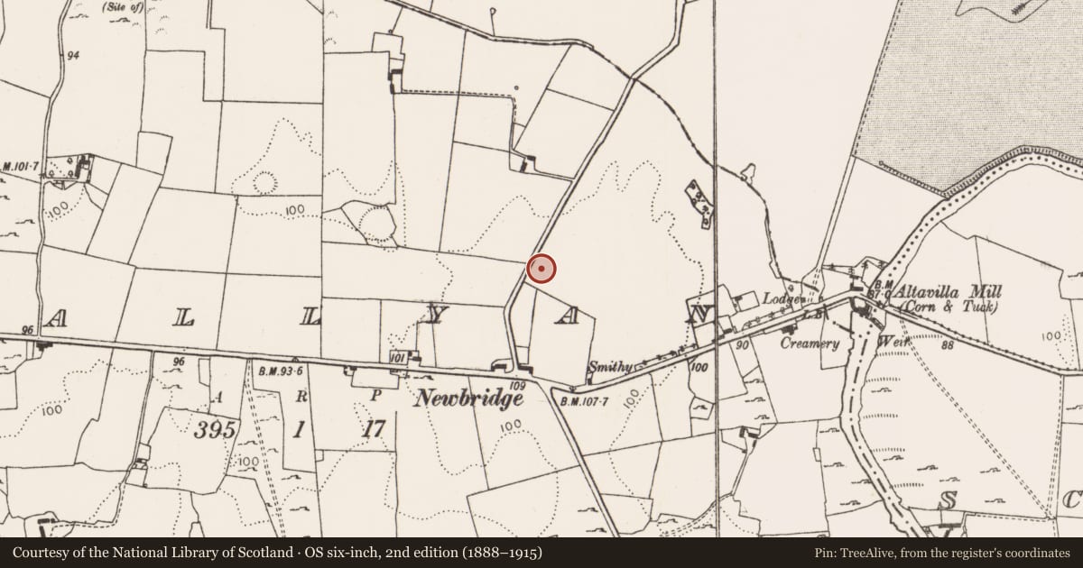 Ordnance Survey six-inch map, 2nd edition (1888–1915) covering the location of Ringfort - rath, Ballyan, County Limerick, with a pin at the register's coordinates