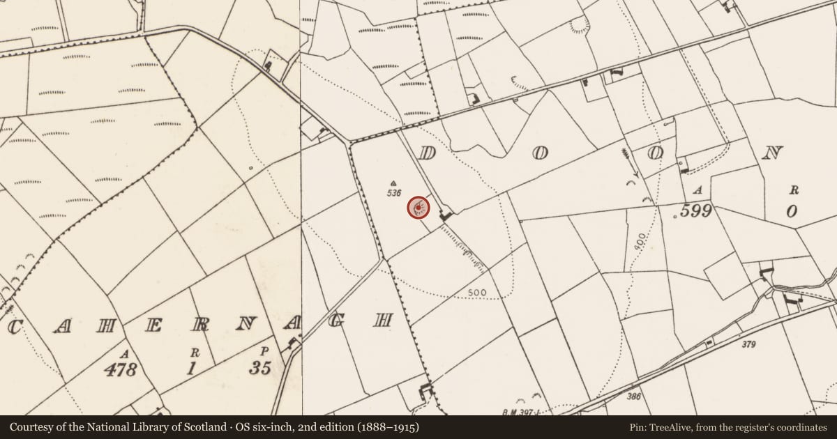 Ordnance Survey six-inch map, 2nd edition (1888–1915) covering the location of Enclosure, Dooncaha, County Limerick, with a pin at the register's coordinates