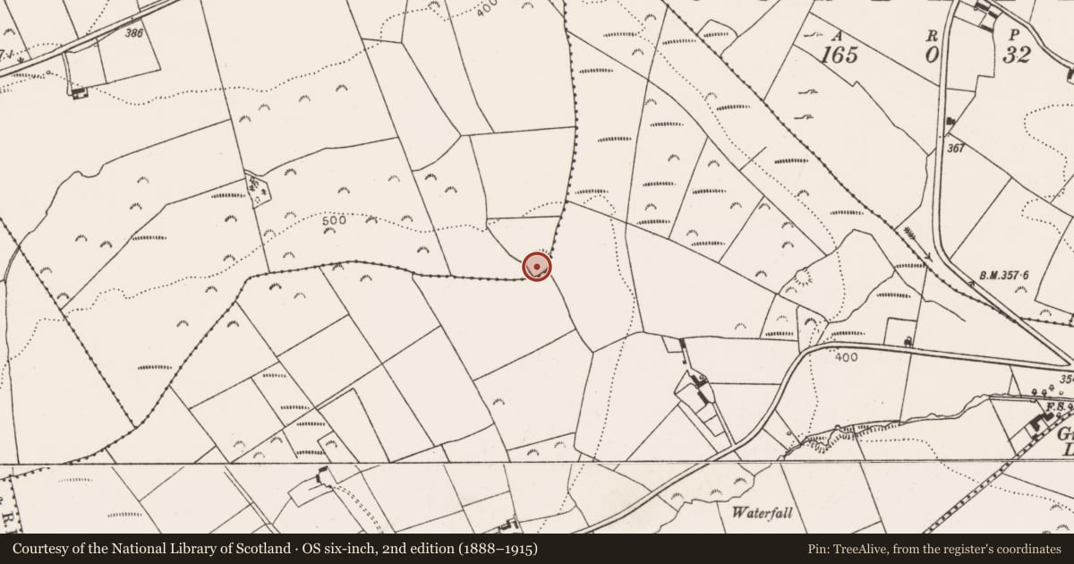 Ordnance Survey six-inch map, 2nd edition (1888–1915) covering the location of Ringfort - rath, Dooncaha, County Limerick, with a pin at the register's coordinates