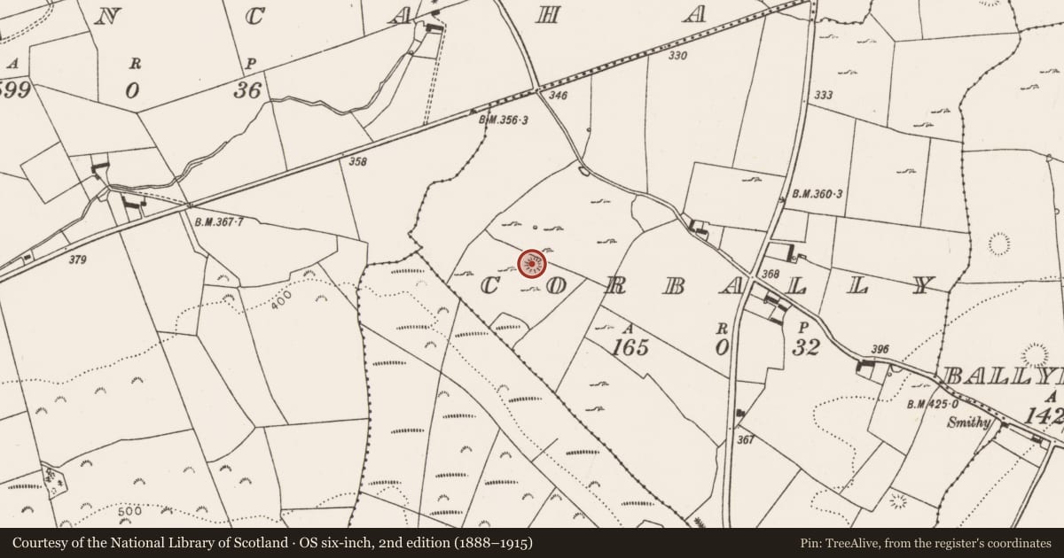 Ordnance Survey six-inch map, 2nd edition (1888–1915) covering the location of Enclosure, Corbally, County Limerick, with a pin at the register's coordinates