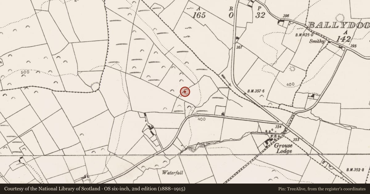 Ordnance Survey six-inch map, 2nd edition (1888–1915) covering the location of Ringfort - rath, Boughilbo, County Limerick, with a pin at the register's coordinates