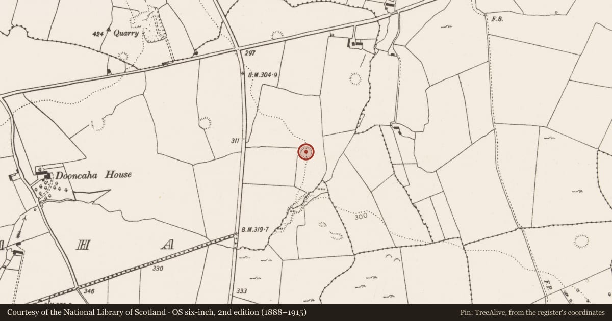 Ordnance Survey six-inch map, 2nd edition (1888–1915) covering the location of Ringfort - rath, Dooncaha, County Limerick, with a pin at the register's coordinates