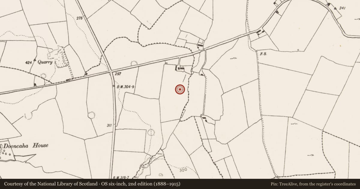 Ordnance Survey six-inch map, 2nd edition (1888–1915) covering the location of Ringfort - rath, Dooncaha, County Limerick, with a pin at the register's coordinates