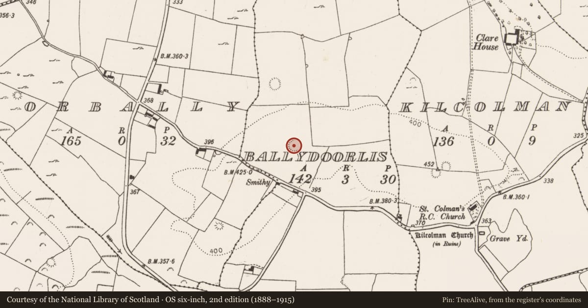 Ordnance Survey six-inch map, 2nd edition (1888–1915) covering the location of Ringfort - rath, Ballydoorlis, County Limerick, with a pin at the register's coordinates