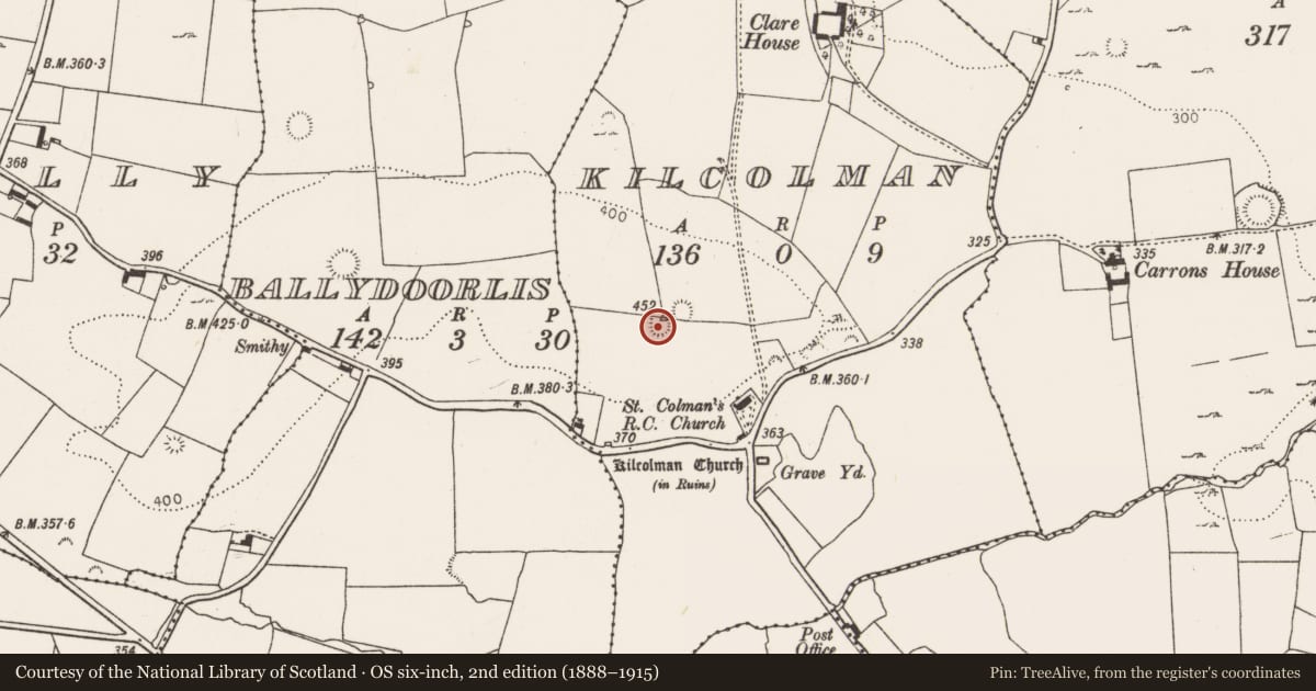 Ordnance Survey six-inch map, 2nd edition (1888–1915) covering the location of Ringfort - rath, Kilcolman, County Limerick, with a pin at the register's coordinates