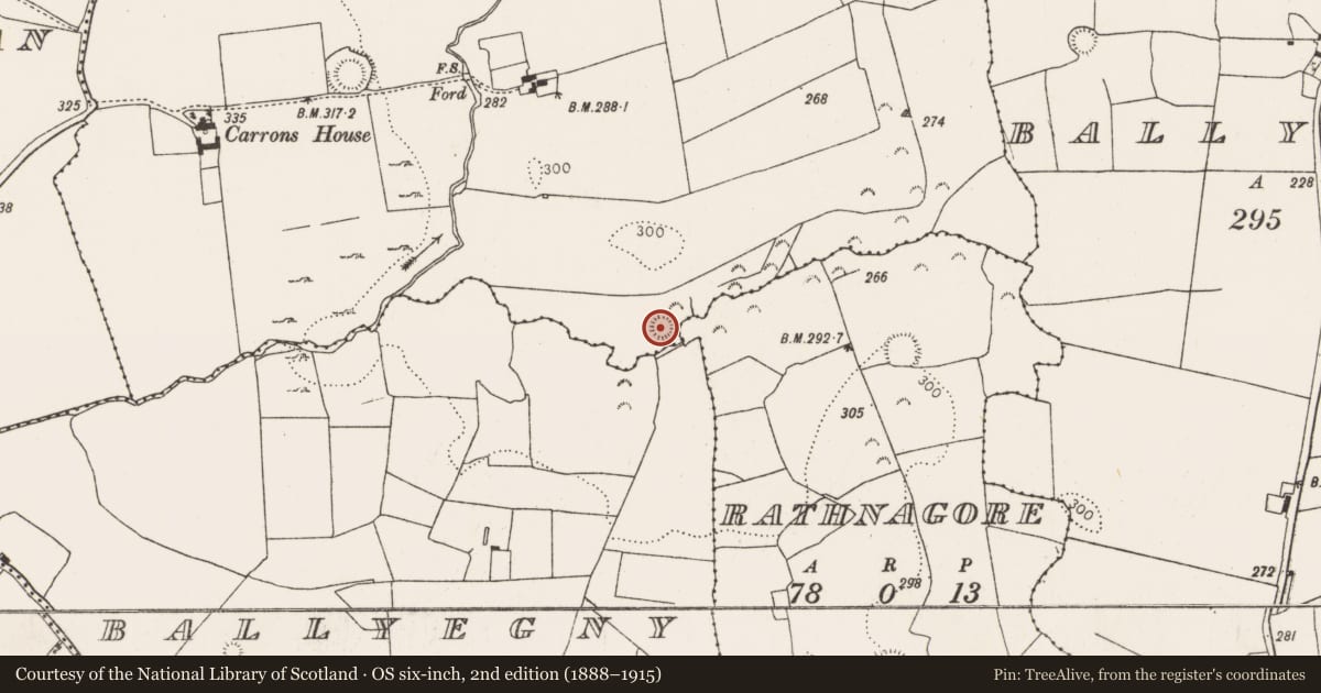 Ordnance Survey six-inch map, 2nd edition (1888–1915) covering the location of Ringfort - rath, Carrons, County Limerick, with a pin at the register's coordinates