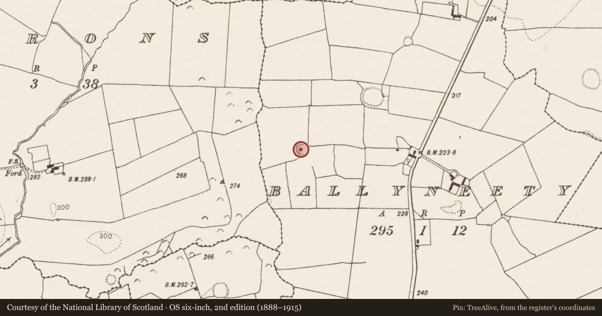 Ordnance Survey six-inch map, 2nd edition (1888–1915) covering the location of Ringfort - rath, Ballyneety, County Limerick, with a pin at the register's coordinates