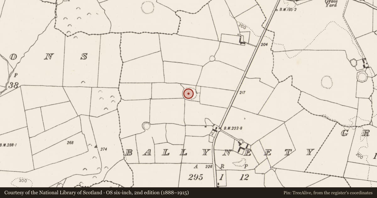 Ordnance Survey six-inch map, 2nd edition (1888–1915) covering the location of Ringfort - rath, Ballyneety, County Limerick, with a pin at the register's coordinates