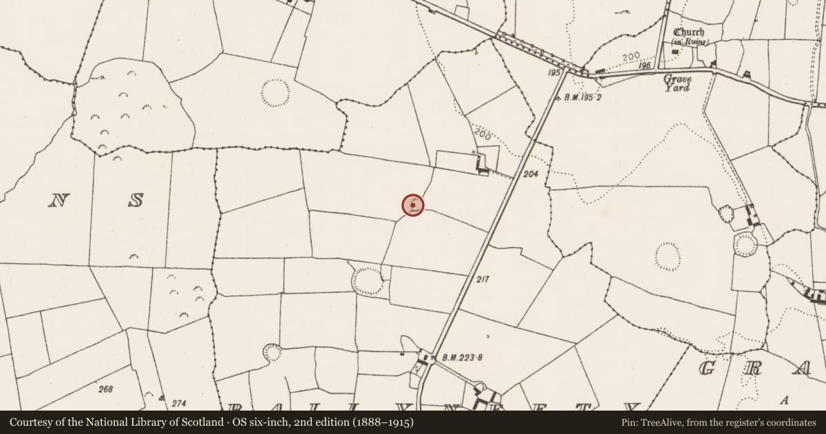 Ordnance Survey six-inch map, 2nd edition (1888–1915) covering the location of Ringfort - rath, Ballyneety, County Limerick, with a pin at the register's coordinates