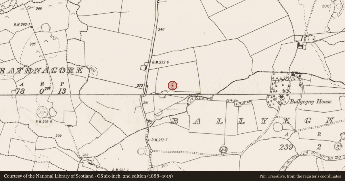Ordnance Survey six-inch map, 2nd edition (1888–1915) covering the location of Ringfort - rath, Ballyneety, County Limerick, with a pin at the register's coordinates