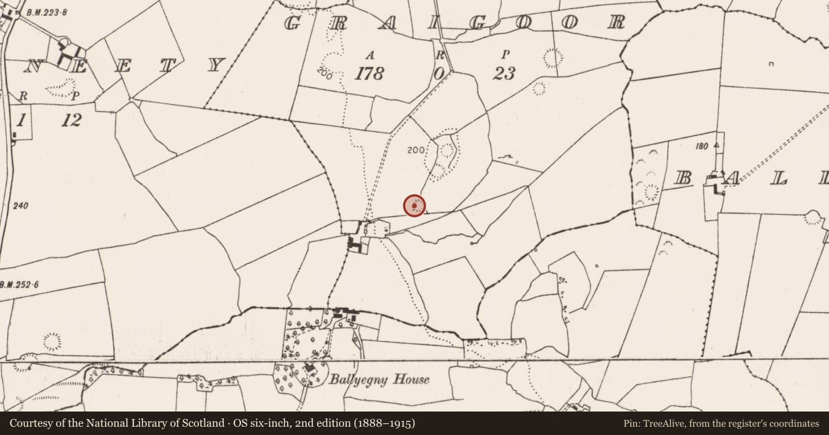 Ordnance Survey six-inch map, 2nd edition (1888–1915) covering the location of Ringfort - rath, Graigoor, County Limerick, with a pin at the register's coordinates