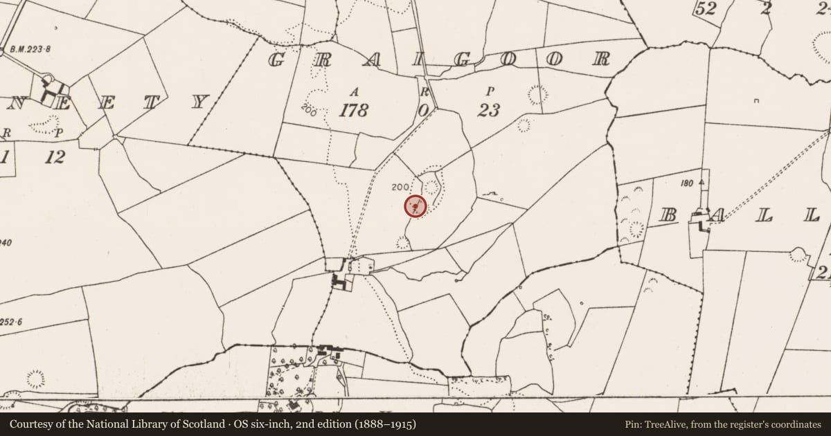 Ordnance Survey six-inch map, 2nd edition (1888–1915) covering the location of Ringfort - rath, Graigoor, County Limerick, with a pin at the register's coordinates