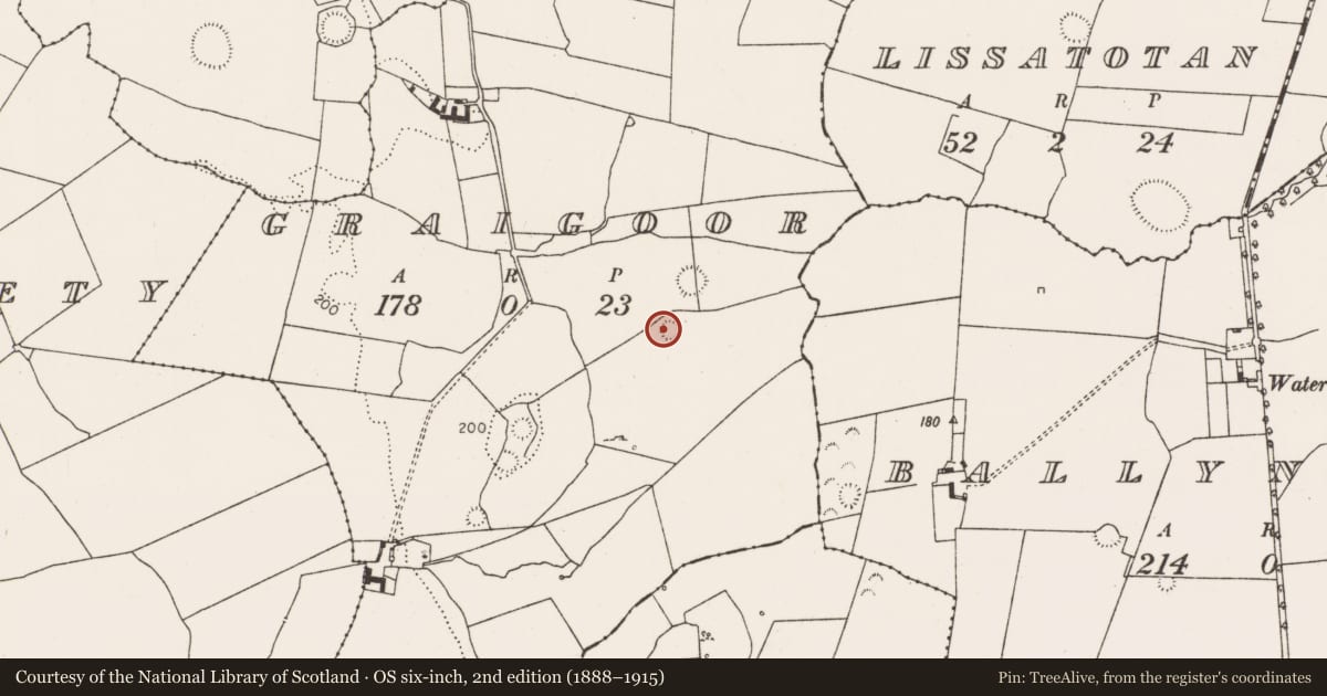 Ordnance Survey six-inch map, 2nd edition (1888–1915) covering the location of Ringfort - rath, Graigoor, County Limerick, with a pin at the register's coordinates