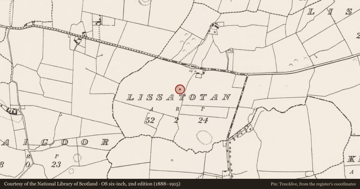 Ordnance Survey six-inch map, 2nd edition (1888–1915) covering the location of Ringfort - rath, Lissatotan, County Limerick, with a pin at the register's coordinates