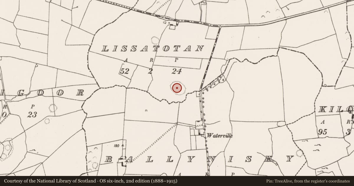 Ordnance Survey six-inch map, 2nd edition (1888–1915) covering the location of Enclosure, Lissatotan, County Limerick, with a pin at the register's coordinates