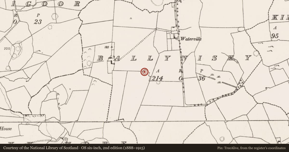 Ordnance Survey six-inch map, 2nd edition (1888–1915) covering the location of Ringfort - rath, Ballynisky, County Limerick, with a pin at the register's coordinates