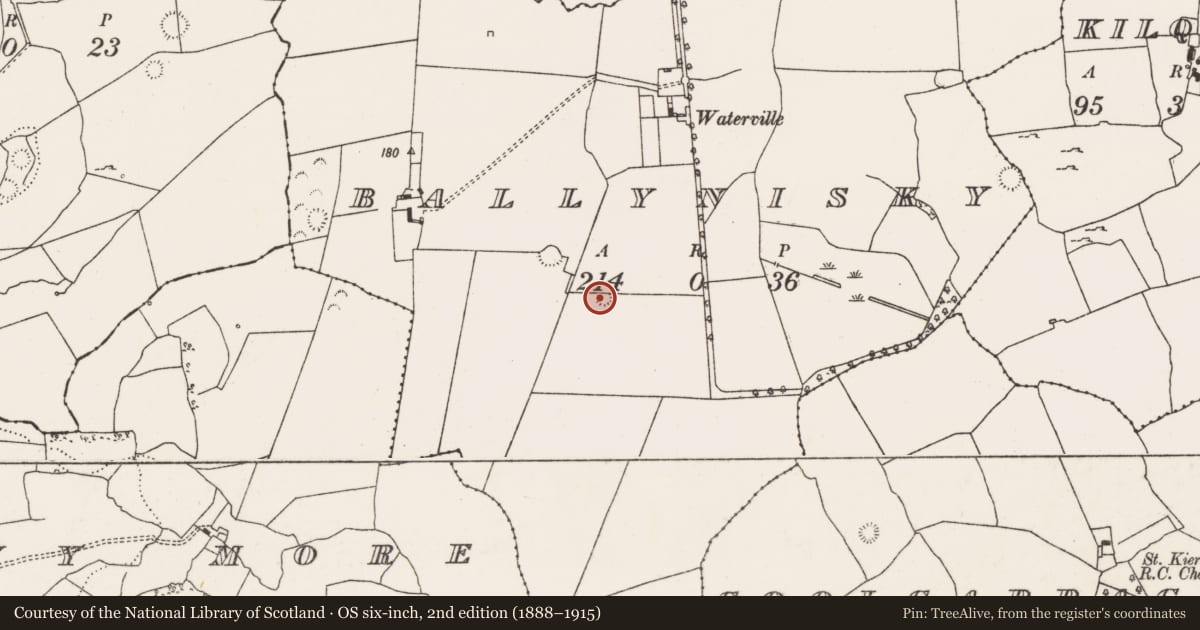 Ordnance Survey six-inch map, 2nd edition (1888–1915) covering the location of Ringfort - rath, Ballynisky, County Limerick, with a pin at the register's coordinates