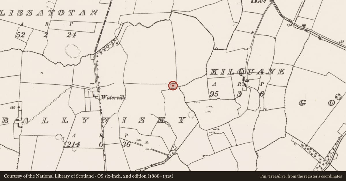 Ordnance Survey six-inch map, 2nd edition (1888–1915) covering the location of Enclosure, Ballynisky, County Limerick, with a pin at the register's coordinates