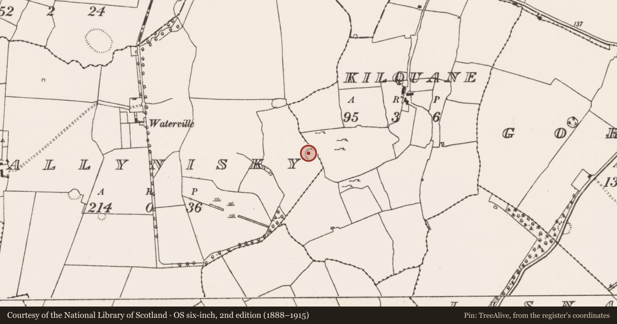 Ordnance Survey six-inch map, 2nd edition (1888–1915) covering the location of Ringfort - rath, Ballynisky, County Limerick, with a pin at the register's coordinates