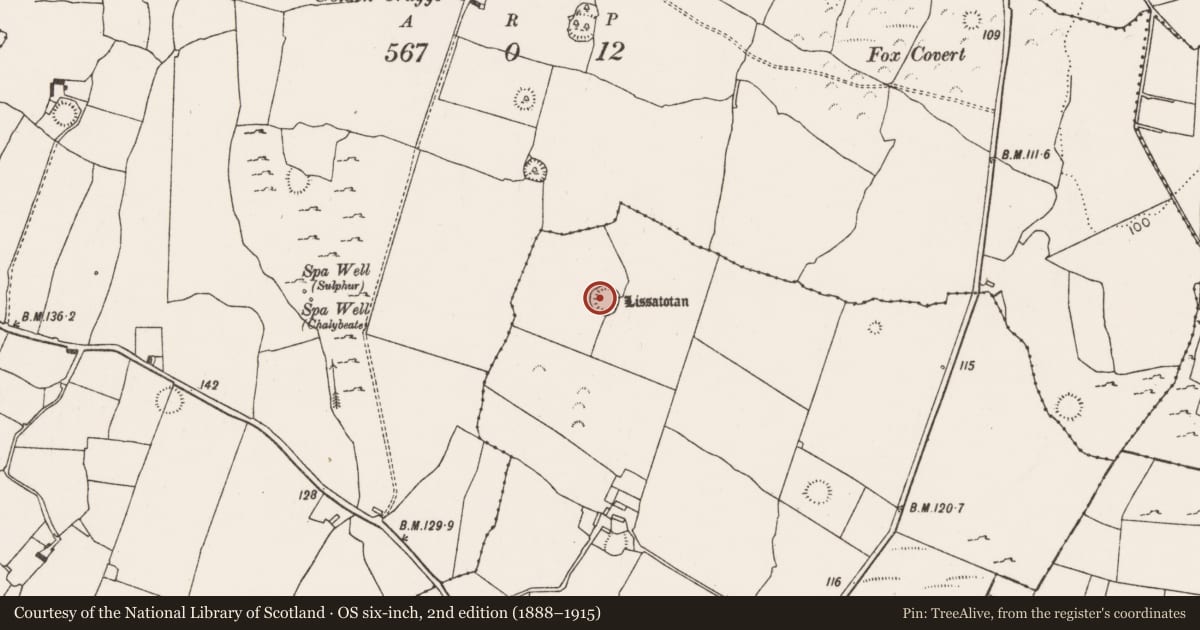 Ordnance Survey six-inch map, 2nd edition (1888–1915) covering the location of Ringfort - rath, Lissatotan, County Limerick, with a pin at the register's coordinates