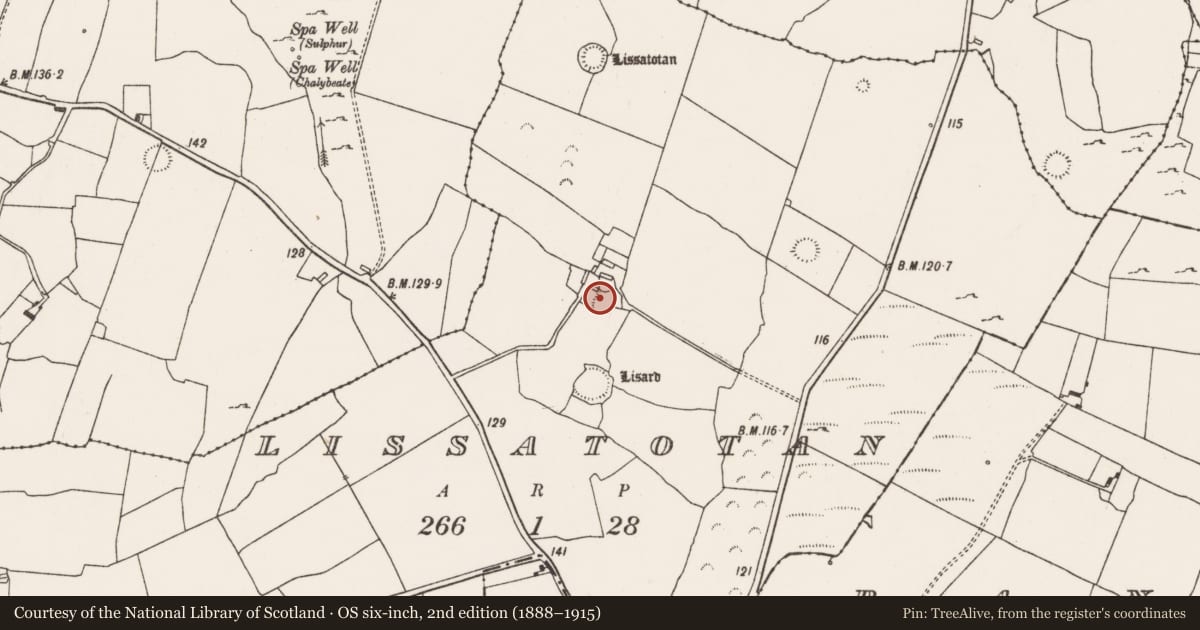 Ordnance Survey six-inch map, 2nd edition (1888–1915) covering the location of Ringfort - rath, Lissatotan, County Limerick, with a pin at the register's coordinates