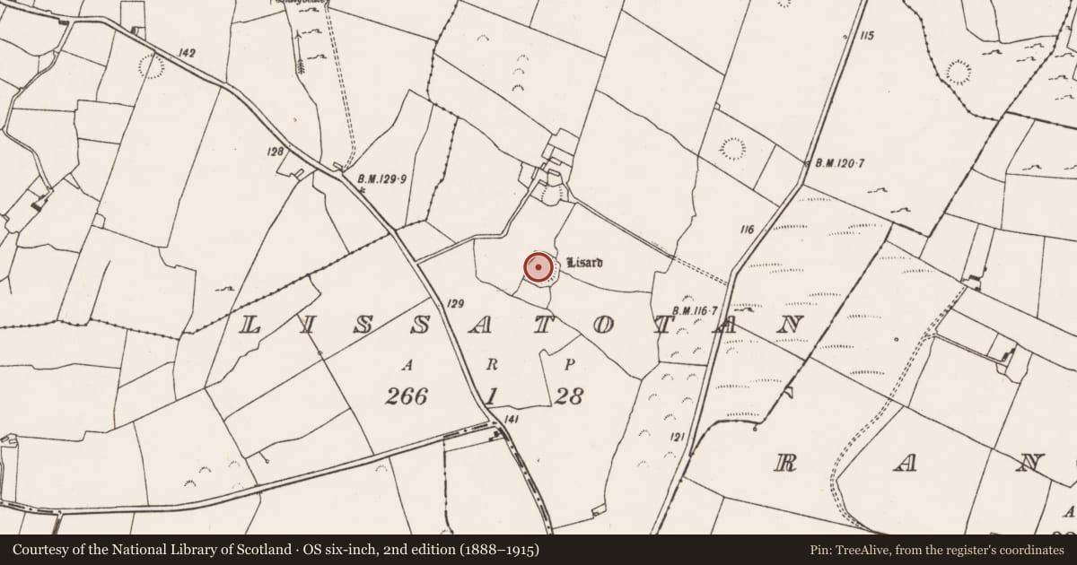 Ordnance Survey six-inch map, 2nd edition (1888–1915) covering the location of Ringfort - rath, Lissatotan, County Limerick, with a pin at the register's coordinates