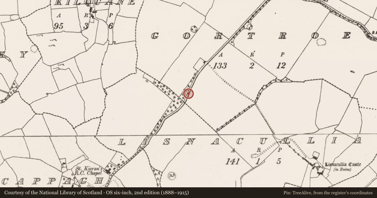Ordnance Survey six-inch map, 2nd edition (1888–1915) covering the location of Ringfort - rath, Gortroe, County Limerick, with a pin at the register's coordinates