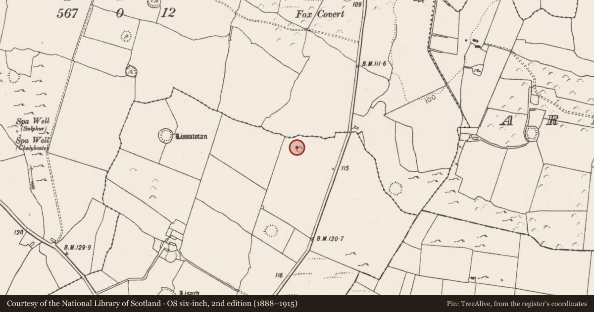 Ordnance Survey six-inch map, 2nd edition (1888–1915) covering the location of Ringfort - rath, Lissatotan, County Limerick, with a pin at the register's coordinates