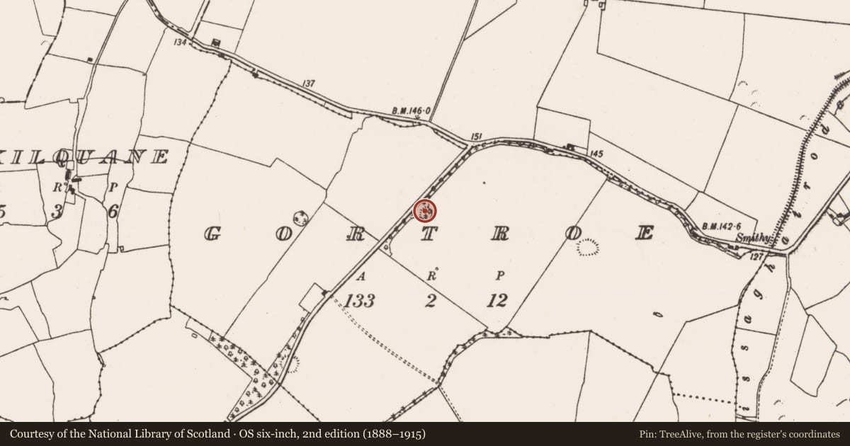 Ordnance Survey six-inch map, 2nd edition (1888–1915) covering the location of Ringfort - rath, Gortroe, County Limerick, with a pin at the register's coordinates