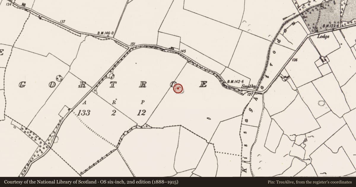 Ordnance Survey six-inch map, 2nd edition (1888–1915) covering the location of Ringfort - rath, Gortroe, County Limerick, with a pin at the register's coordinates