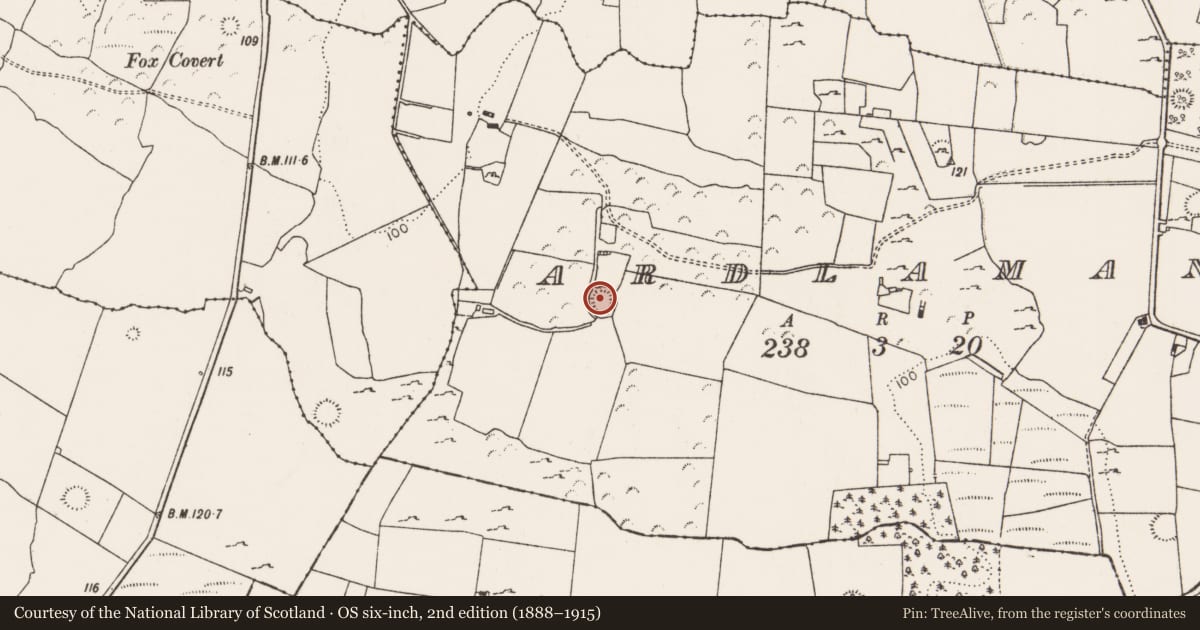 Ordnance Survey six-inch map, 2nd edition (1888–1915) covering the location of Ringfort - rath, Ardlaman, County Limerick, with a pin at the register's coordinates