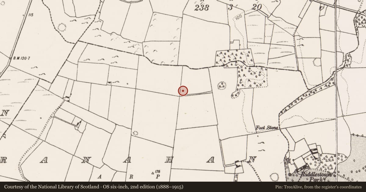 Ordnance Survey six-inch map, 2nd edition (1888–1915) covering the location of Ringfort - rath, Ranahan, County Limerick, with a pin at the register's coordinates