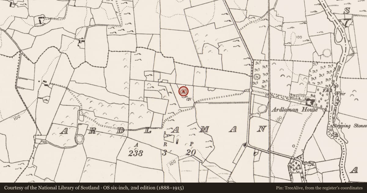 Ordnance Survey six-inch map, 2nd edition (1888–1915) covering the location of Ringfort - rath, Ardlaman, County Limerick, with a pin at the register's coordinates