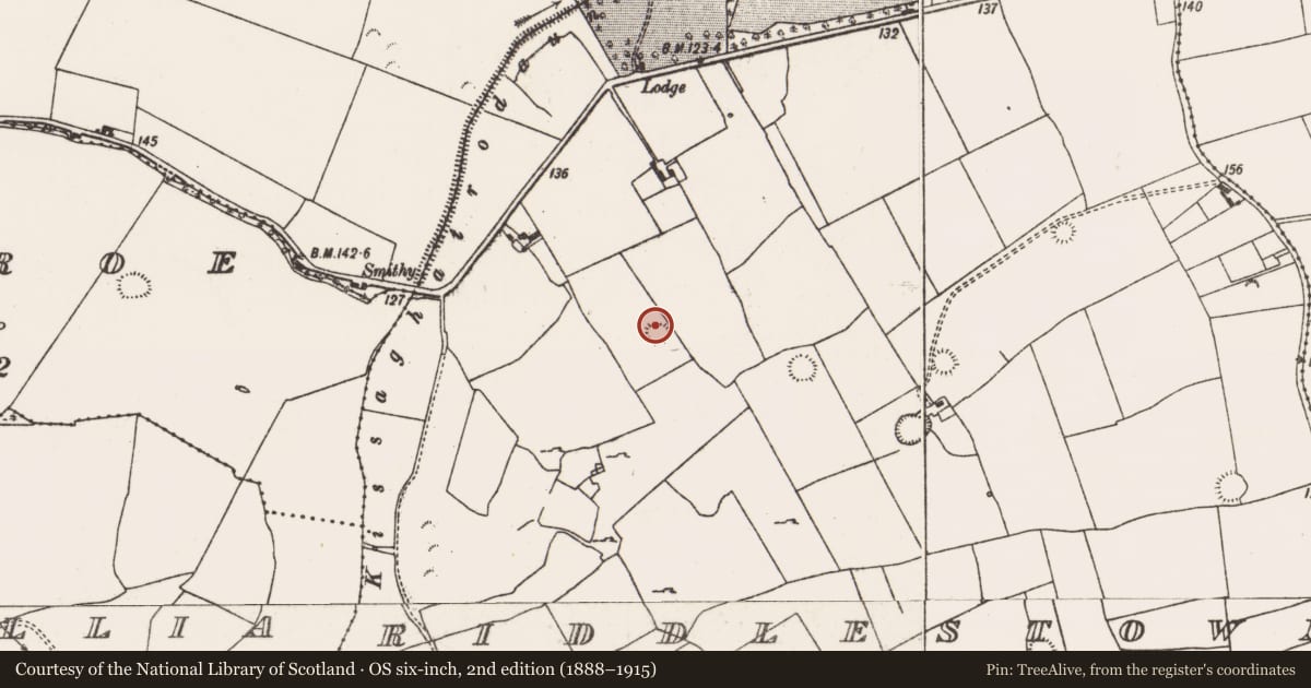 Ordnance Survey six-inch map, 2nd edition (1888–1915) covering the location of Ringfort - rath, Riddlestown, County Limerick, with a pin at the register's coordinates