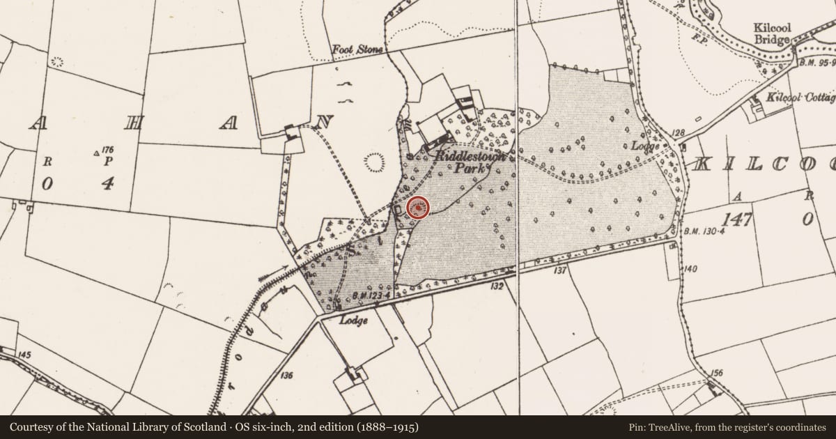 Ordnance Survey six-inch map, 2nd edition (1888–1915) covering the location of Ringfort - rath, Riddlestown, County Limerick, with a pin at the register's coordinates