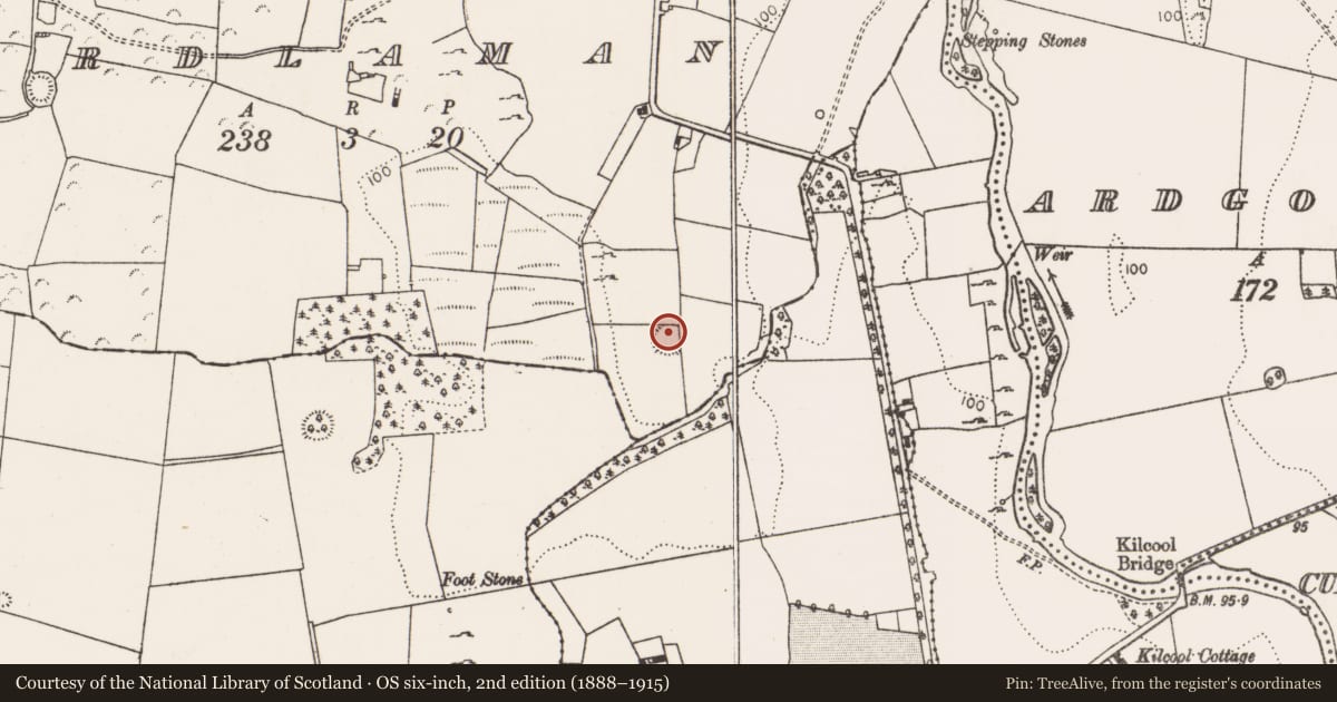 Ordnance Survey six-inch map, 2nd edition (1888–1915) covering the location of Ringfort - rath, Ardlaman, County Limerick, with a pin at the register's coordinates