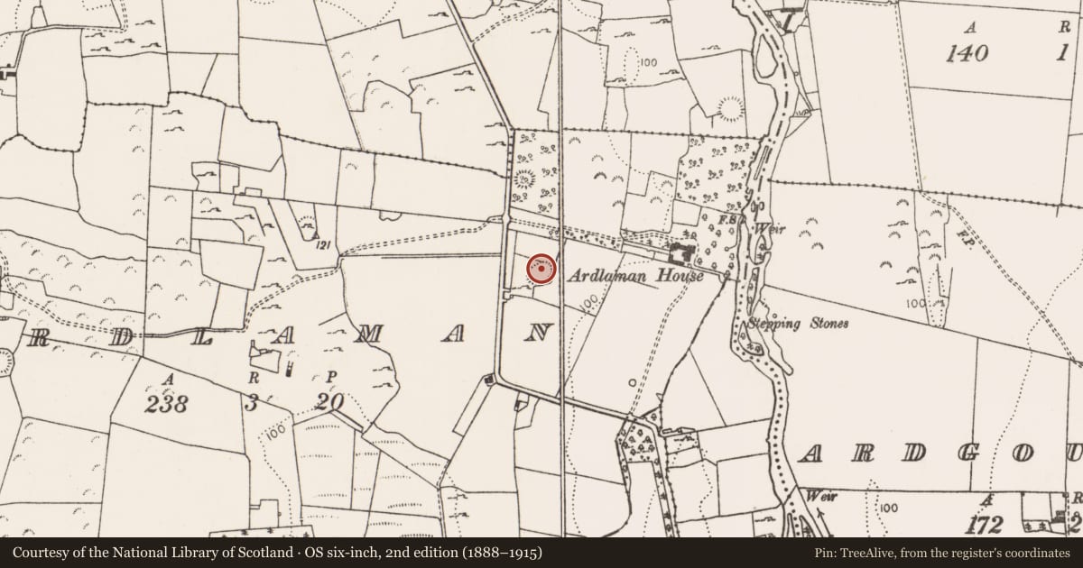 Ordnance Survey six-inch map, 2nd edition (1888–1915) covering the location of Ringfort - rath, Ardlaman, County Limerick, with a pin at the register's coordinates
