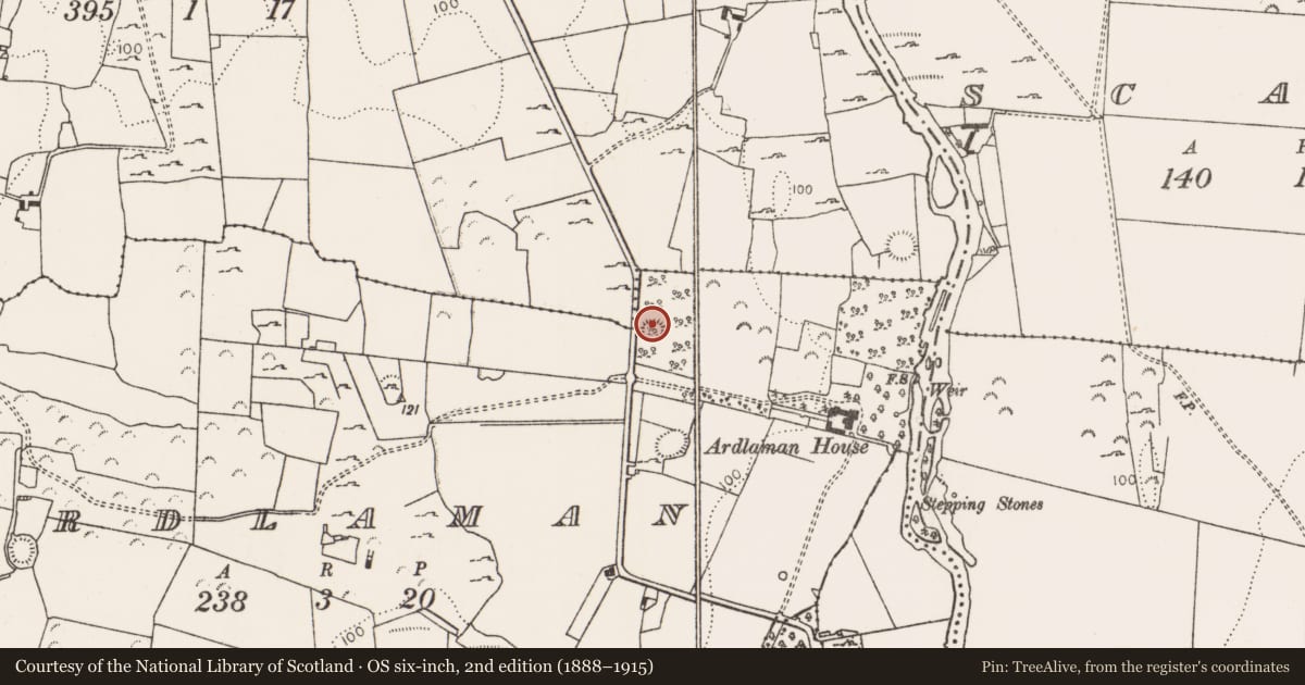 Ordnance Survey six-inch map, 2nd edition (1888–1915) covering the location of Ringfort - rath, Ardlaman, County Limerick, with a pin at the register's coordinates
