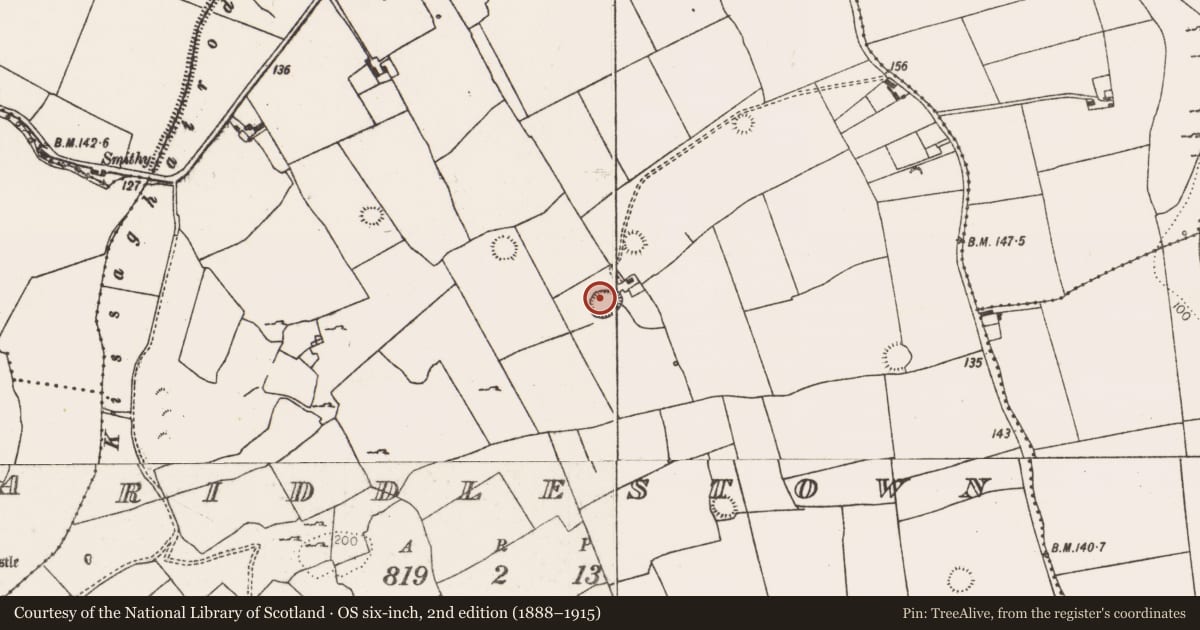 Ordnance Survey six-inch map, 2nd edition (1888–1915) covering the location of Ringfort - rath, Riddlestown, County Limerick, with a pin at the register's coordinates