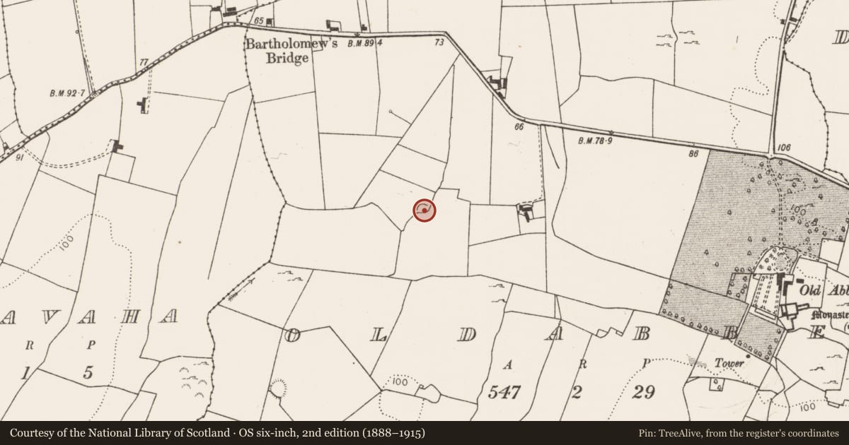 Ordnance Survey six-inch map, 2nd edition (1888–1915) covering the location of Enclosure, Oldabbey, County Limerick, with a pin at the register's coordinates