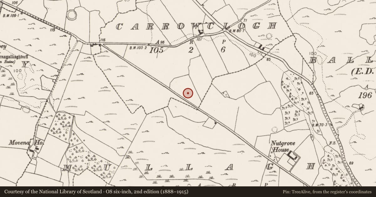Ordnance Survey six-inch map, 2nd edition (1888–1915) covering the location of Enclosure, Carrowclogh, County Limerick, with a pin at the register's coordinates