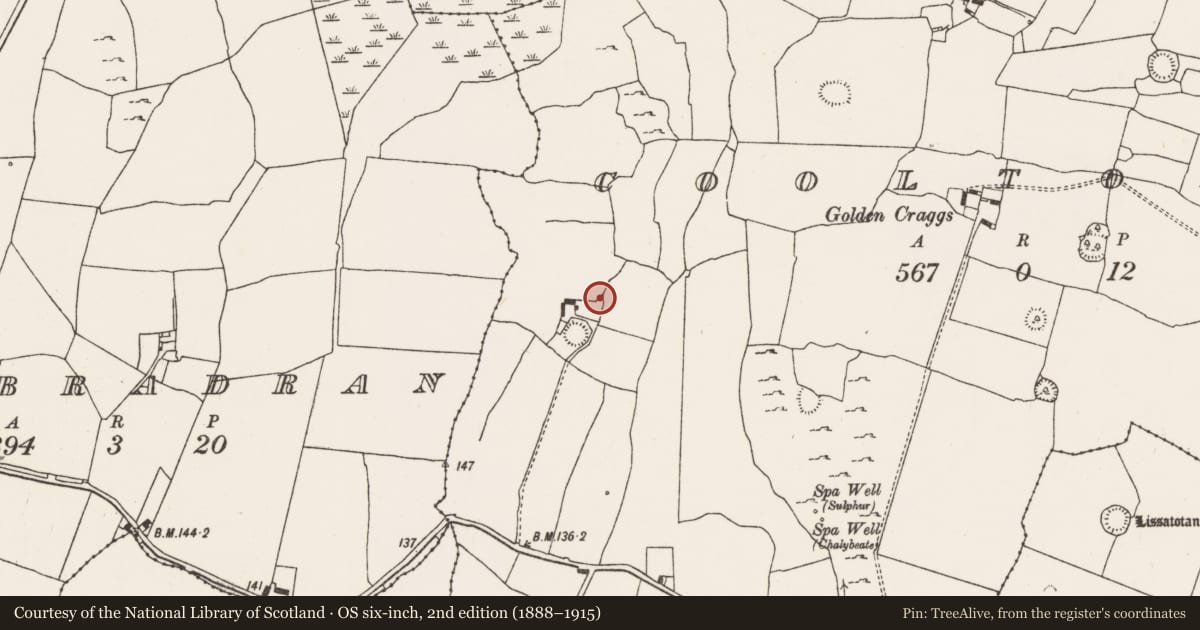 Ordnance Survey six-inch map, 2nd edition (1888–1915) covering the location of Enclosure, Cooltomin, County Limerick, with a pin at the register's coordinates