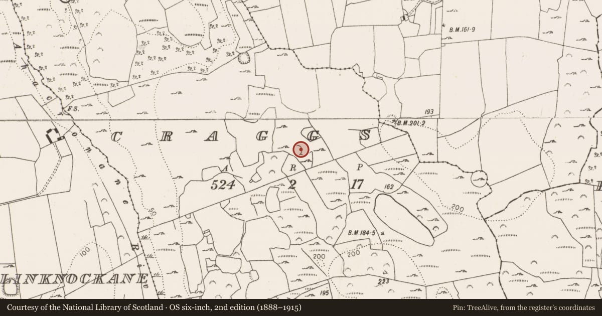 Ordnance Survey six-inch map, 2nd edition (1888–1915) covering the location of Ringfort - unclassified, Craggs, County Limerick, with a pin at the register's coordinates