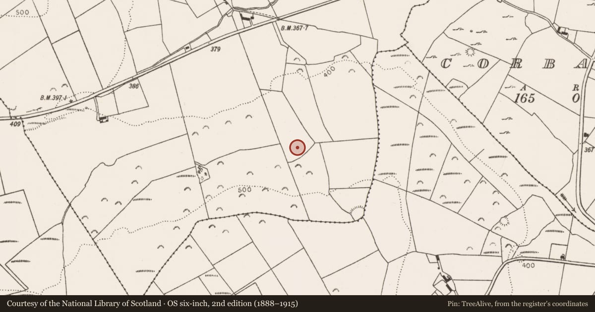 Ordnance Survey six-inch map, 2nd edition (1888–1915) covering the location of Ringfort - rath, Dooncaha, County Limerick, with a pin at the register's coordinates