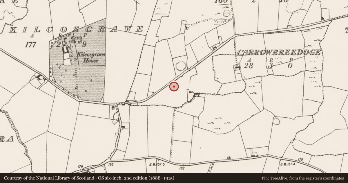 Ordnance Survey six-inch map, 2nd edition (1888–1915) covering the location of Ringfort - rath, Craggard, County Limerick, with a pin at the register's coordinates