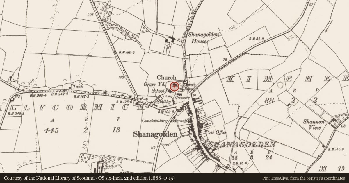 Ordnance Survey six-inch map, 2nd edition (1888–1915) covering the location of Ritual site - holy well, Shanagolden Demesne, County Limerick, with a pin at the register's coordinates