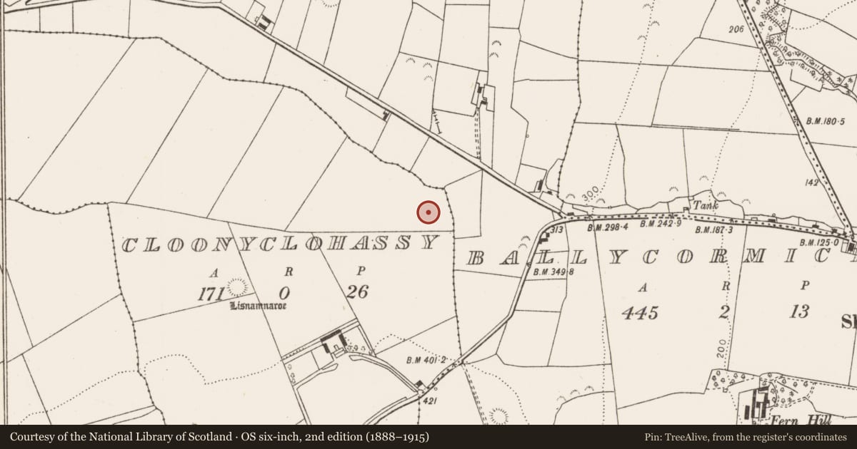 Ordnance Survey six-inch map, 2nd edition (1888–1915) covering the location of Fulacht fia, Cloonyclohassy, County Limerick, with a pin at the register's coordinates